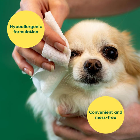 Earth Rated Pet Eye Wipes - Hypoallergenic Eye Wipes for Dogs & Cats to Remove Tear Stains, Fragrance Free, 70 Count