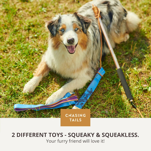 Flirt Pole for Small or Medium Dogs - 26 Inch with 70 Inch Rope and Two Toys, Spring Pole for All Breeds