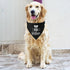 Big Sister Dog Bandana Collar, Pregnancy Announcement Bandana, Adjustable Dog Collar with Quick Release Buckle