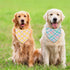 60Pcs Summer JarThenaAMCS Spring Dog Bandana Pastel Plaid Triangle Pet Scarf Adjustable Puppy Neckerchief Colorful Dog