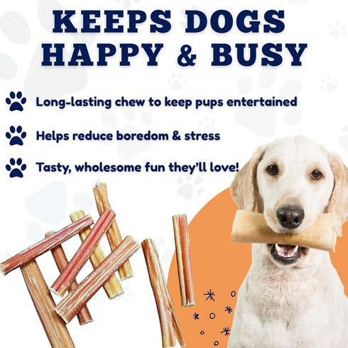 4-6 Inch (10 oz) 100% Amazing Dog Treats - Variety Bully Sticks - All Natural Rawhide Alternative - Long Lasting Dog