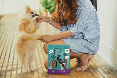 Pet Jerky Factory Premium Duck and Blueberry Dog Jerky Treats - 5 oz, 100% Human Grade, High Protein, Grain Free