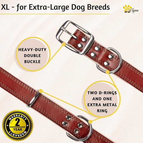ADITYNA Heavy-Duty Premium Leather Dog Collar for Extra-Large Dogs, Padded with Soft Genuine Leather