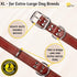 ADITYNA Heavy-Duty Premium Leather Dog Collar for Extra-Large Dogs, Padded with Soft Genuine Leather