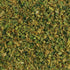 Backpacking, 24 Harmony House Foods Dehydrated Cabbage Flakes - Air Dried Vegetables for Soup and Cooked Dishes, Great