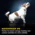 Max & Molly Rechargeable LED Dog Collar Light - Waterproof Safety Light for Night Walking, Running, Biking