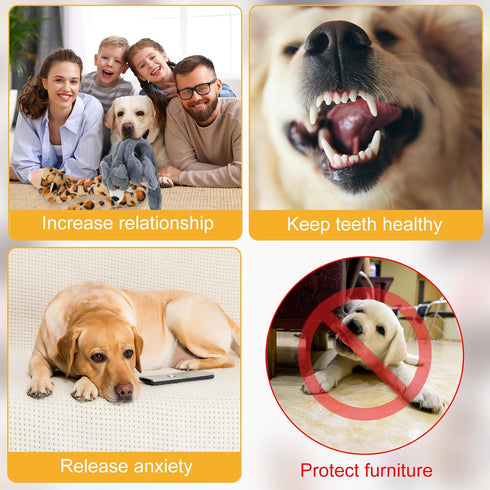 Sratte 10 Pcs Dog Squeaky Toys, Plush Teething Puppy Chew Toys for Small Medium Large Pets, 10 Styles (Delicate Style)