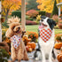 Agroon 3PCS, 6 Thanksgiving Dog Bandanas XLarge Pattern Fall Scarf for Boy and Girl, Pumpkin Leaves Rugby Triangle