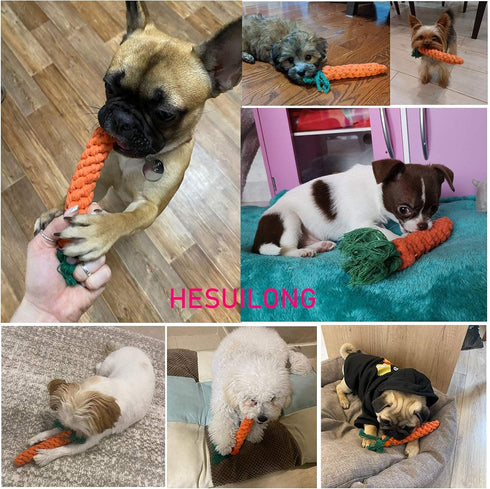 Dog Toys 3 PCS Puppy Teething Chew Toys, Dog Rope Toys, Cat Chew Toys, Safe Braided Rabbit Toys