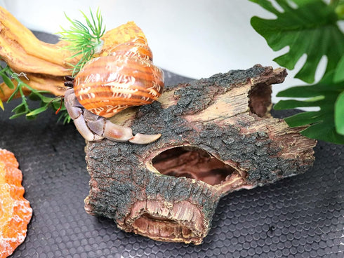 Neeenn Hermit Crab Hideout, Resin Simulation Stone Reptile Cave Hideout, Hermit Crab Climbing Toys, Terrarium Habitat