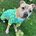 KYEESE Velvet Dog Pajamas, Soft Pjs for Medium Sized Dogs with Yellow Ducks Pattern, Stretchy Pet Jammies Coat Comfy