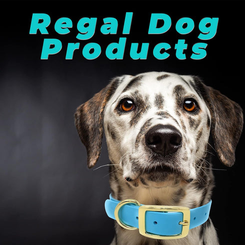Regal Dog Products Small Light Blue Waterproof Dog Collar with Gold Buckle, Durable and Comfortable Design