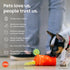 P.L.A.Y. PET LIFESTYLE AND YOU P.L.A.Y. Cute Plush Dog Toys - Brunch Food Themed Durable Squeaker Crinkle Chew Toy