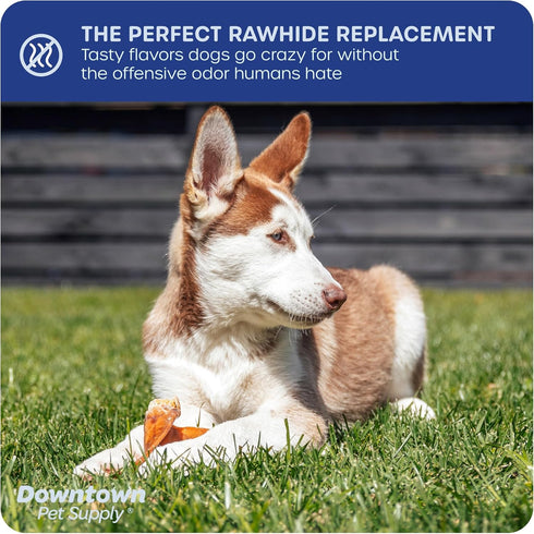 Downtown Pet Supply Pig Ears, 5 Pack, SOUTH AMERICA & TURKEY