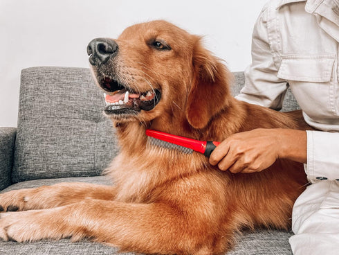 Tuff Pupper Dual Length Detangling Dog Comb, Ergonomic Combs with No-Slip Handle for Precision Control