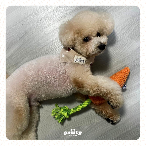 Carrot Tug Rope Dog Toy, Squeaky Gift for Puppy Birthday, Durable Toy for Small to Medium Dogs