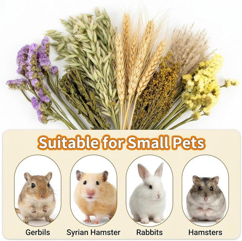 42Pcs Sukh Herb Bedding Habitat Decor - Natural Flower Hamster Mate Herbs Sprays Cage Safe Pet Accessories Decorations