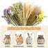 42Pcs Sukh Herb Bedding Habitat Decor - Natural Flower Hamster Mate Herbs Sprays Cage Safe Pet Accessories Decorations