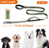 TwoEar 6FT 1IN Strong Green Dog Leash with 2 Padded Handles, Comfortable Soft Dual Handle for Small Medium Large Dogs