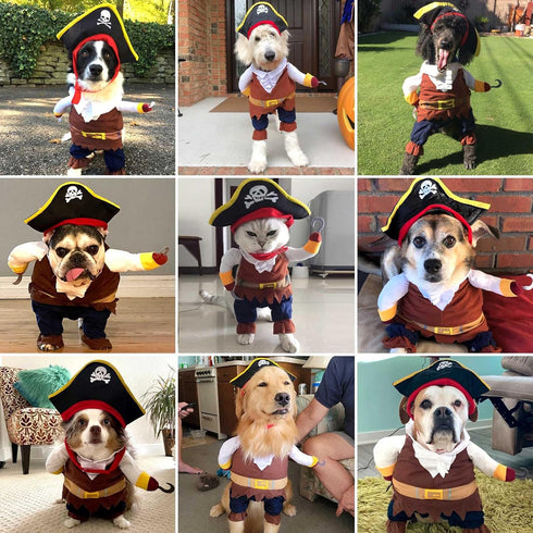 Dog Costume Pirates of The Caribbean Style - Funny Halloween Cosplay for Small to Medium Dogs & Cats, Corsair Dress Up