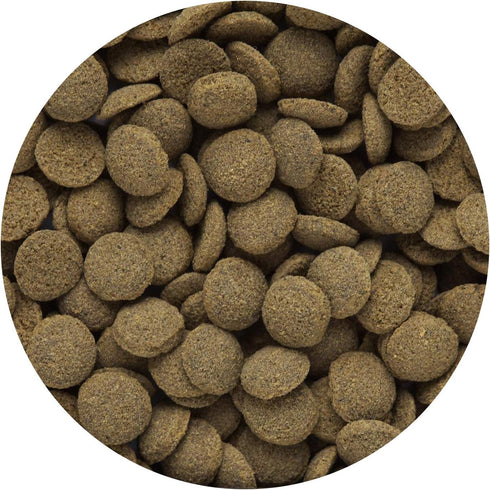 Hikari Sinking Wafers for Pets, 1.76-Ounce