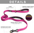 Fida 6 FT Heavy Duty Dog Leash with 2 Comfortable Padded Handles, Traffic Handle & Advanced Easy Snap Hook, Reflective Walking Lead for Large, Medium & Small Breed Dogs, Rose