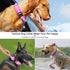 DAGANXI Tactical Dog Collar, Adjustable Military Nylon Collar with Control Handle, Heavy Metal Buckle for Medium Large