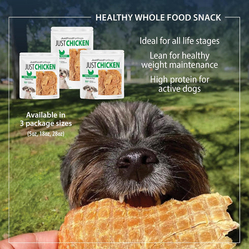 JustFoodForDogs Healthy Dog Treats, Single-Ingredient Chicken Breast, Made in The USA 5 oz