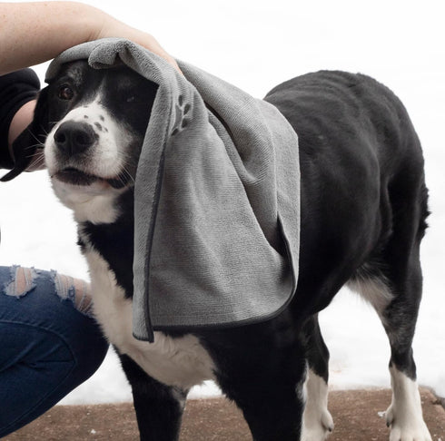Ritz Premium Embroidered Microfiber Pet Towel (3-Pack) - Highly Absorbent, Fast-Drying, Soft Pet Cloth, Grey