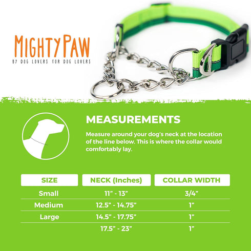 Mighty Paw Martingale Dog Collar 2.0, Trainer Approved Limited Slip Collar with Heavy Duty Buckle & Stainless Steel