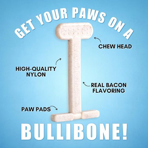 Bullibone Nylon Dog Chew Toy, Improves Dental Hygiene, Bacon Flavor, Small - 2 Pack
