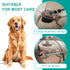 Dog Seat Belt for Car, LApapaye Chew Resistant Safety Restraint, Coated Wire Rope, Double End with Safety Buckle