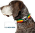 Buckle-Down Rasta Dog Collar - 1" Wide - Fits 15-26" Neck - Large Seatbelt Buckle