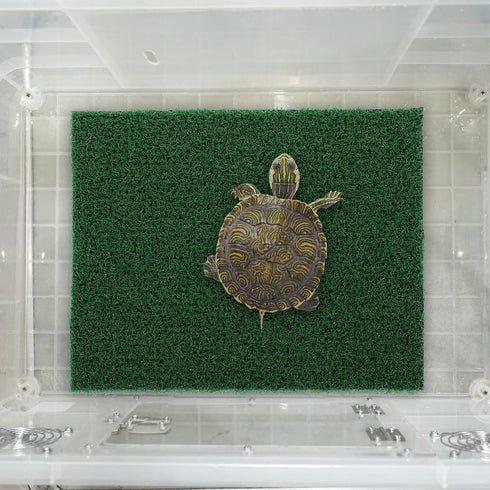GANAZONO Fish Tank Artificial Grass Turf for Turtle Basking Platform, Reptile Supplies, Dark Green