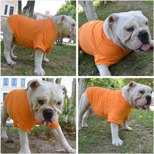 Lovelonglong Dog Costumes Basic Blank T-Shirt Tee Shirts for Large Dogs, Orange XXXXL