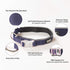 Dog Gone Smart Pet Products Super Bright LED Safety Comet Collar, Adjustable Breathable Nylon for Dogs