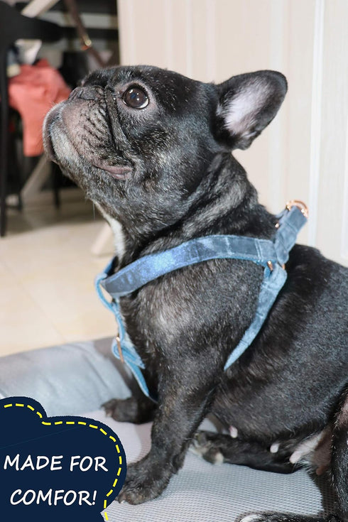 ARING PET Dog Halter Harness, Velvet No Pull Adjustable Heavy Duty Harness for Small Medium Large Dogs