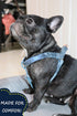 ARING PET Dog Halter Harness, Velvet No Pull Adjustable Heavy Duty Harness for Small Medium Large Dogs
