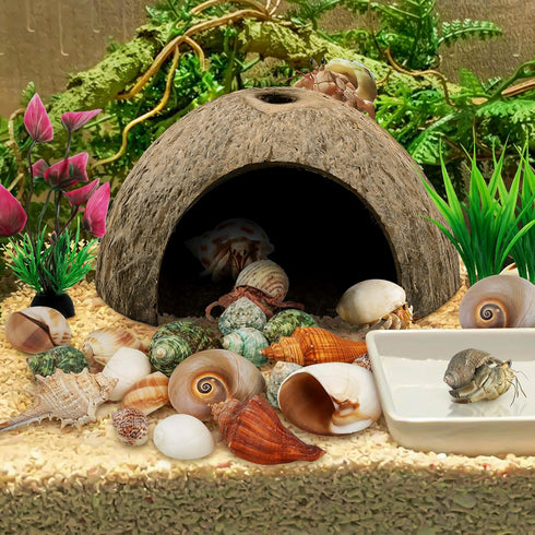 Hermit Crab Sea Shells Natural Coconut Shell Hut, Artificial Plants for Hermit Crab Tank Hide Reptile Supplies - 22 PCS