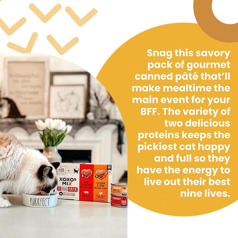 I and love and you XOXOs Wet Cat Food - Salmon + Tuna Pâté - Grain Free, Filler Free - 3oz Pack of 24 Cans