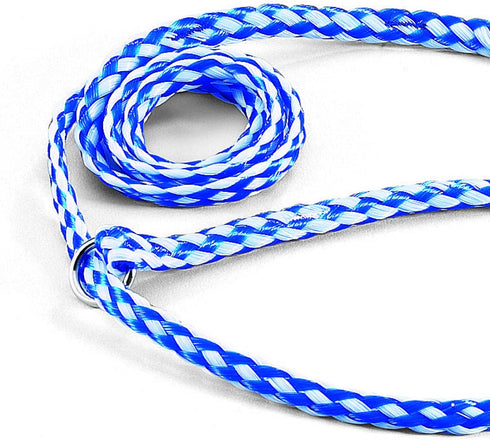 Guardian Gear Animal-Control O-Ring Slide Leads, 5' Long x ?" Wide, 12-Pack, Assorted Colors