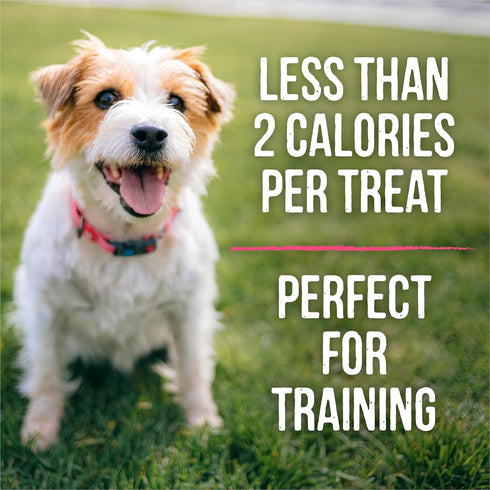 Merrick Lil’ Plates Grain Free Small Dog Treats, Natural Salmon Recipe, 5 oz Pouch