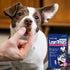 Covetrus Nutrisential Lean Treats for Dogs - Low Fat, Bite-Size Soft Chicken Flavor for Small, Medium & Large Dogs (4oz)