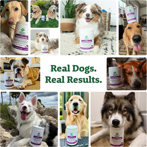 Doggie Dailies 5 in 1 Multivitamin for Dogs, 225 Soft Chews - Supports Skin & Coat, Joint Health, Digestion, Immune