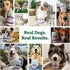 Doggie Dailies 5 in 1 Multivitamin for Dogs, 225 Soft Chews - Supports Skin & Coat, Joint Health, Digestion, Immune