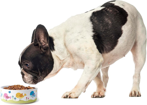 PetRageous 17011 Early Bird Cat Bowl, 2-Cup Capacity, 5-Inch Diameter, 2-Inch Tall, White, Dishwasher Safe