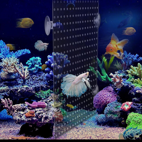 Clear Acrylic Aquarium Fish Tank Divider Kit for 10 Gallon and Up to 950 Gallon Tanks (Kit B - 2 PCs 5.9"x11.8")