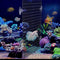 Clear Acrylic Aquarium Fish Tank Divider Kit for 10 Gallon and Up to 950 Gallon Tanks (Kit B - 2 PCs 5.9"x11.8")