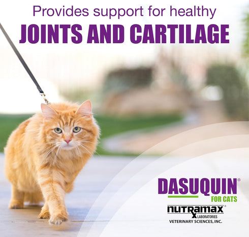 84 Nutramax Laboratories Dasuquin Joint Health Supplement for Cats - With Glucosamine, Chondroitin, ASU, Boswellia