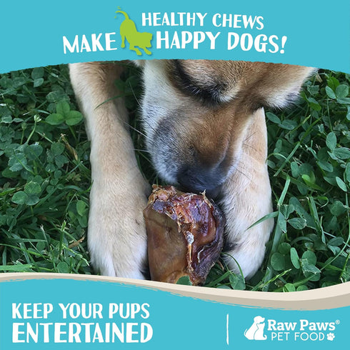 Raw Paws Smoked Beef Kneecaps for Dogs, 5-ct - Packed in USA - Free Range, Antibiotic Free - Smoked Beef Bones